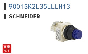 9001SK2L35LLLH13