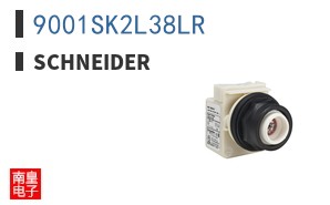 9001SK2L38LR