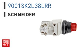 9001SK2L38LRR