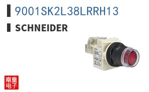 9001SK2L38LRRH13