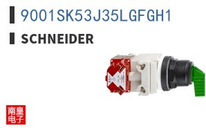 9001SK53J35LGFGH1