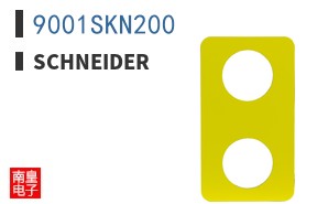 9001SKN200
