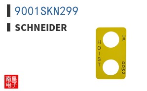 9001SKN299