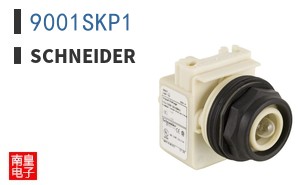 9001SKP1