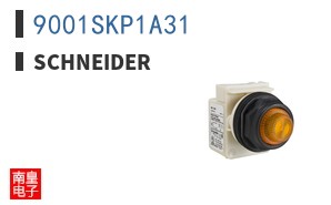 9001SKP1A31