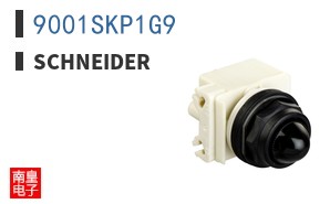 9001SKP1G9
