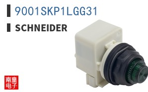 9001SKP1LGG31