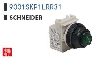 9001SKP1LRR31