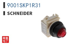 9001SKP1R31