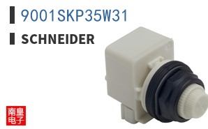 9001SKP35W31