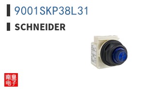 9001SKP38L31