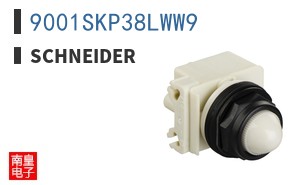 9001SKP38LWW9