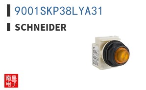 9001SKP38LYA31
