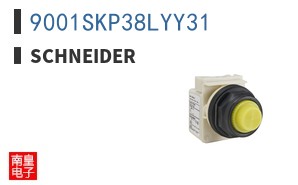 9001SKP38LYY31