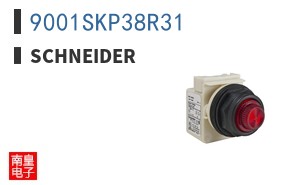 9001SKP38R31