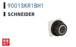 9001SKR1BH1