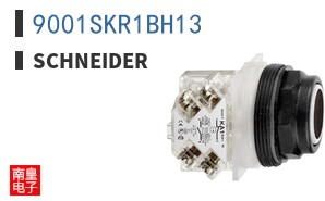 9001SKR1BH13