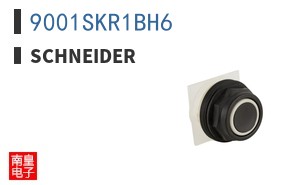 9001SKR1BH6