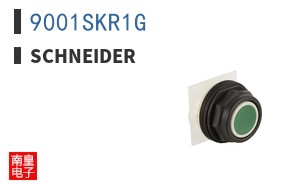 9001SKR1G