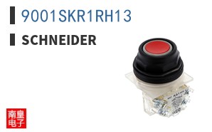 9001SKR1RH13