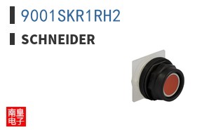 9001SKR1RH2