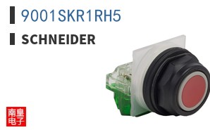 9001SKR1RH5