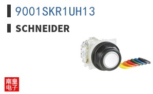 9001SKR1UH13