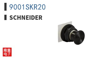 9001SKR20