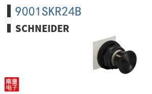 9001SKR24B
