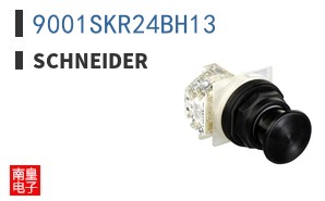 9001SKR24BH13