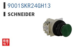 9001SKR24GH13