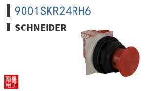 9001SKR24RH6