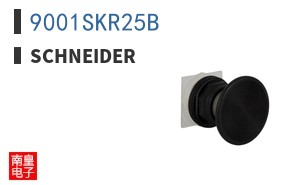 9001SKR25B