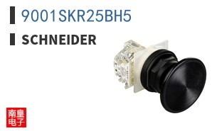9001SKR25BH5