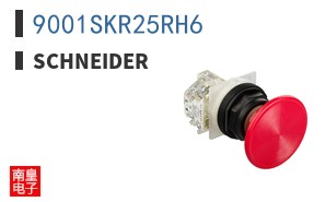 9001SKR25RH6