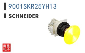 9001SKR25YH13
