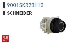 9001SKR2BH13