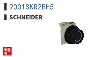 9001SKR2BH5