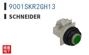 9001SKR2GH13