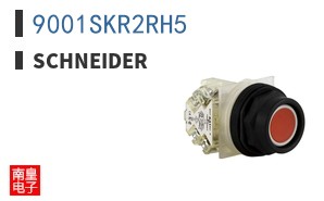 9001SKR2RH5