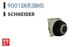 9001SKR3BH5