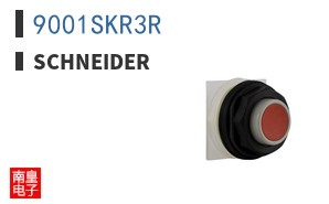 9001SKR3R