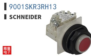 9001SKR3RH13