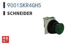 9001SKR4GH5