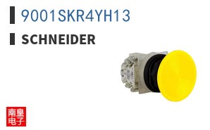9001SKR4YH13