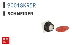 9001SKR5R