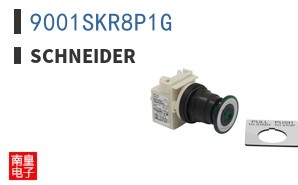 9001SKR8P1G