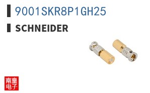 9001SKR8P1GH25