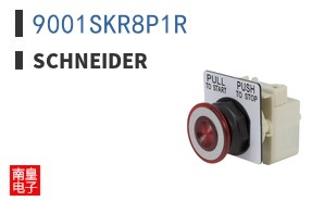 9001SKR8P1R