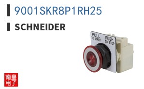 9001SKR8P1RH25